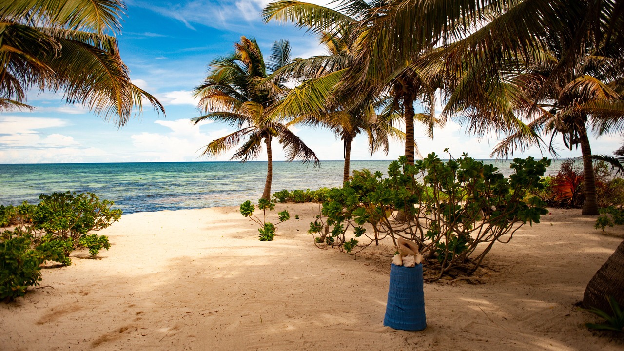 Photo of Others in Majahual