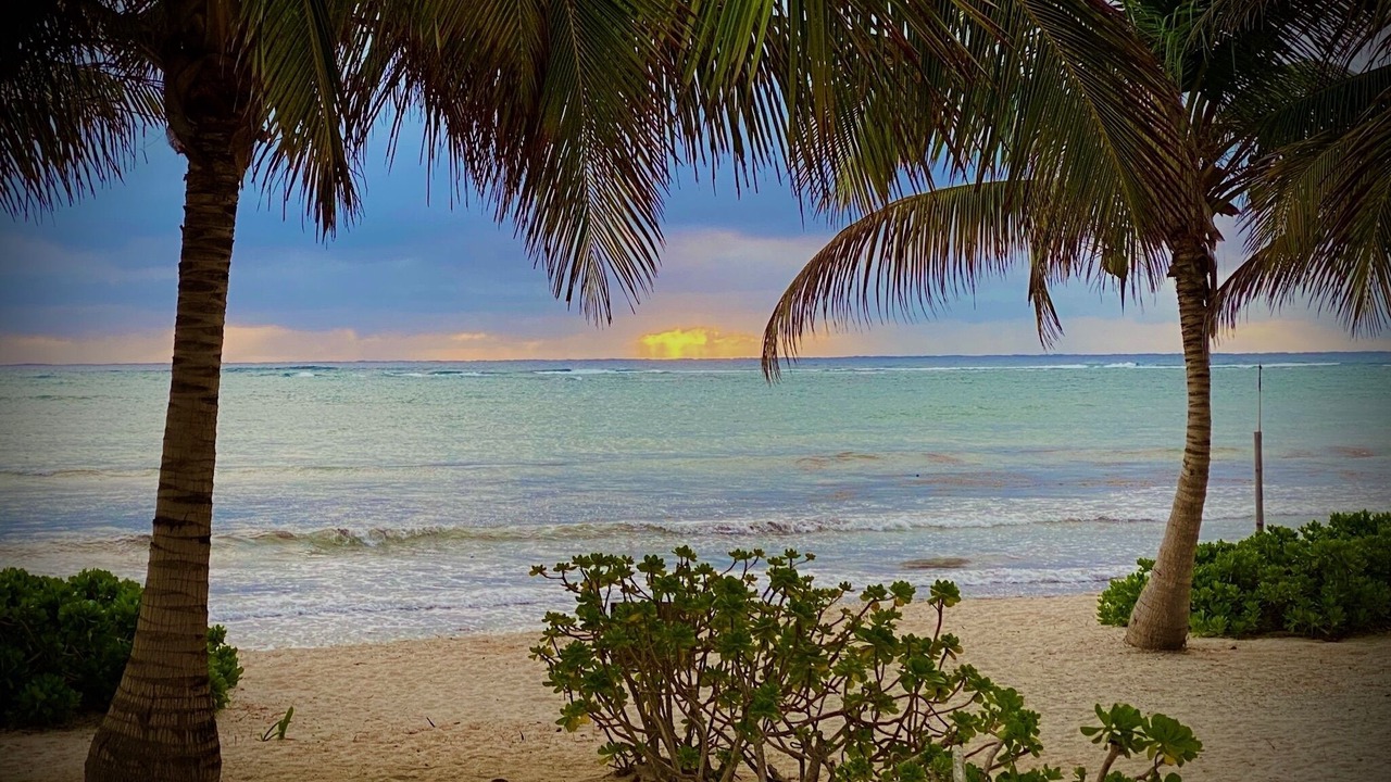 Photo of Others in Majahual