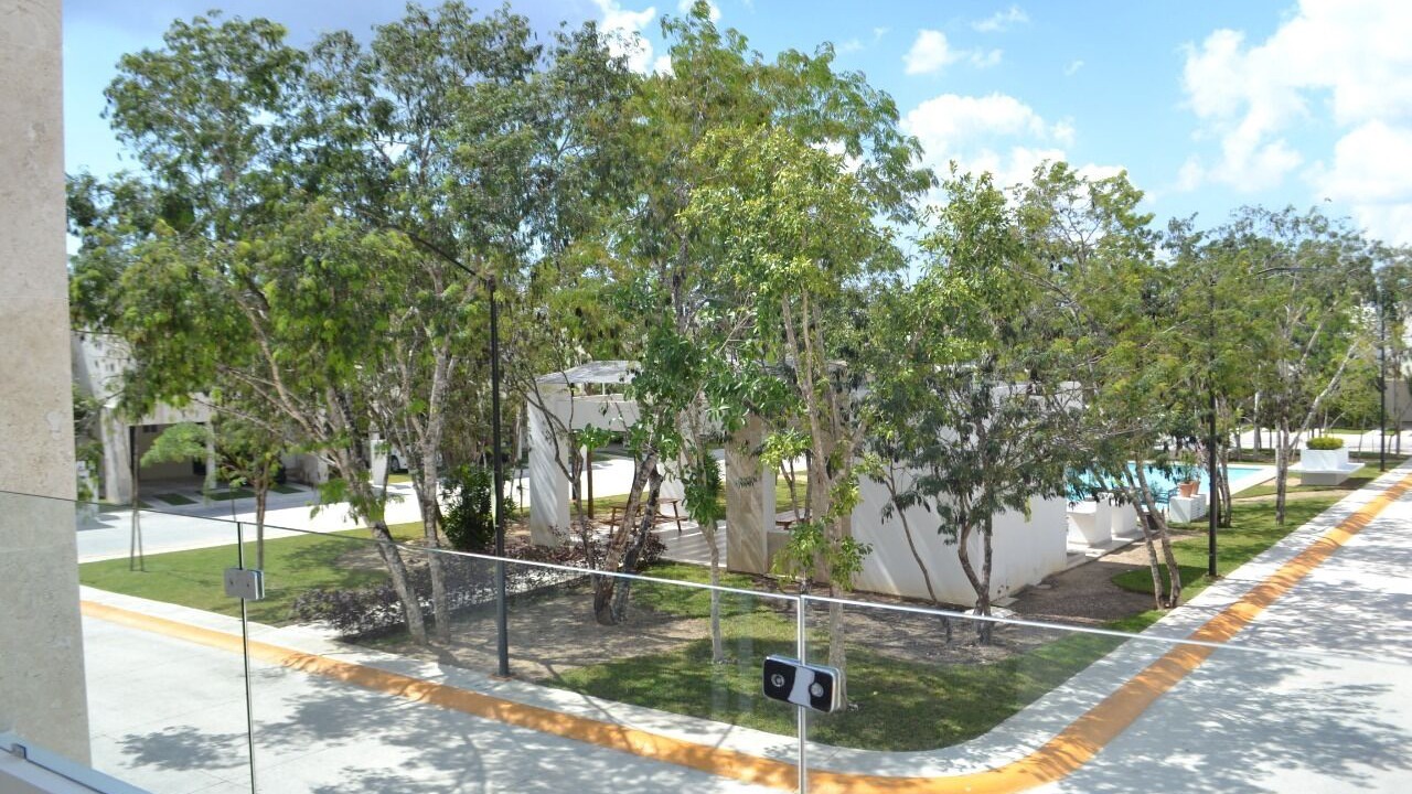 Photo of Outdoor in Puerto Juarez