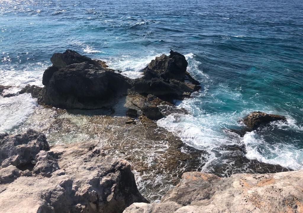Photo of Others in Isla Mujeres