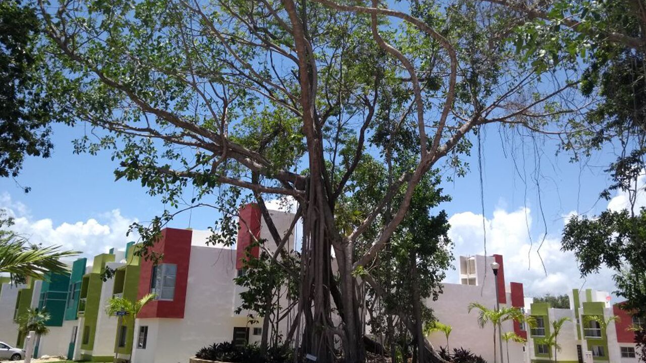 Photo of Outdoor in Puerto Morelos