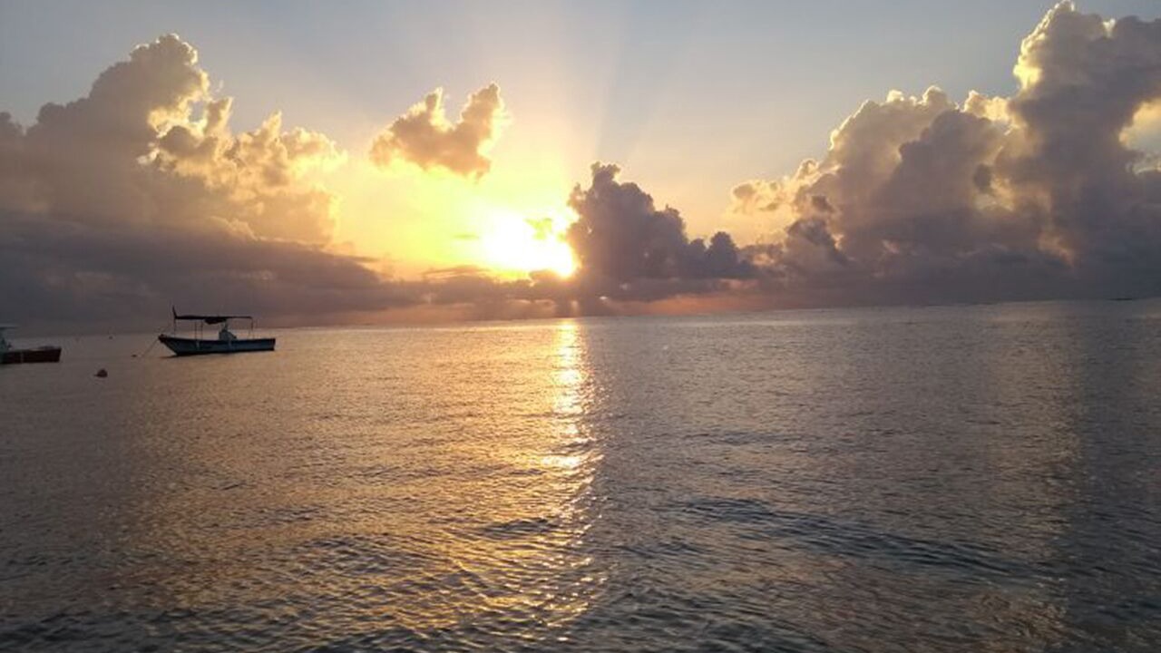 Photo of Others in Puerto Morelos