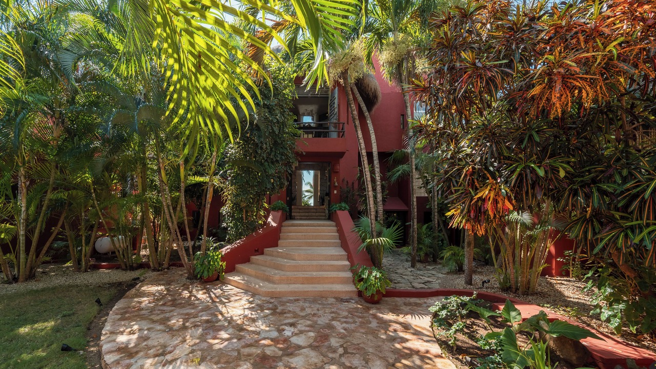 Photo of Outdoor in Akumal