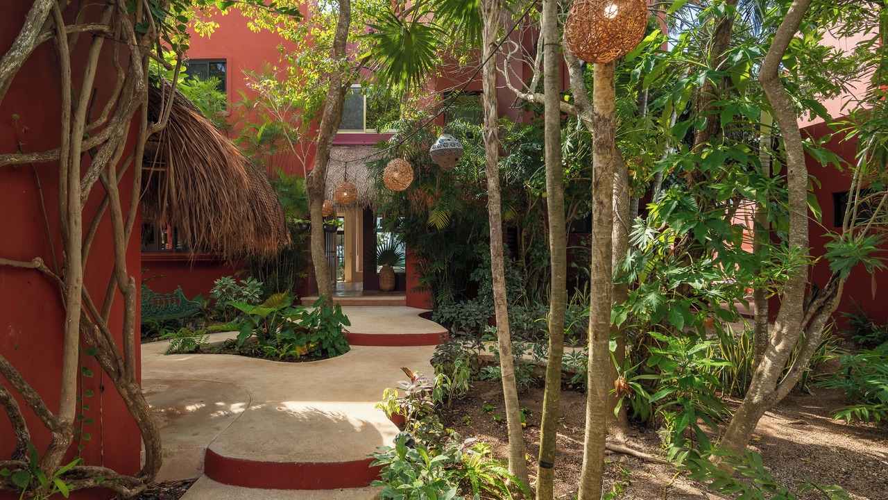 Photo of Outdoor in Akumal