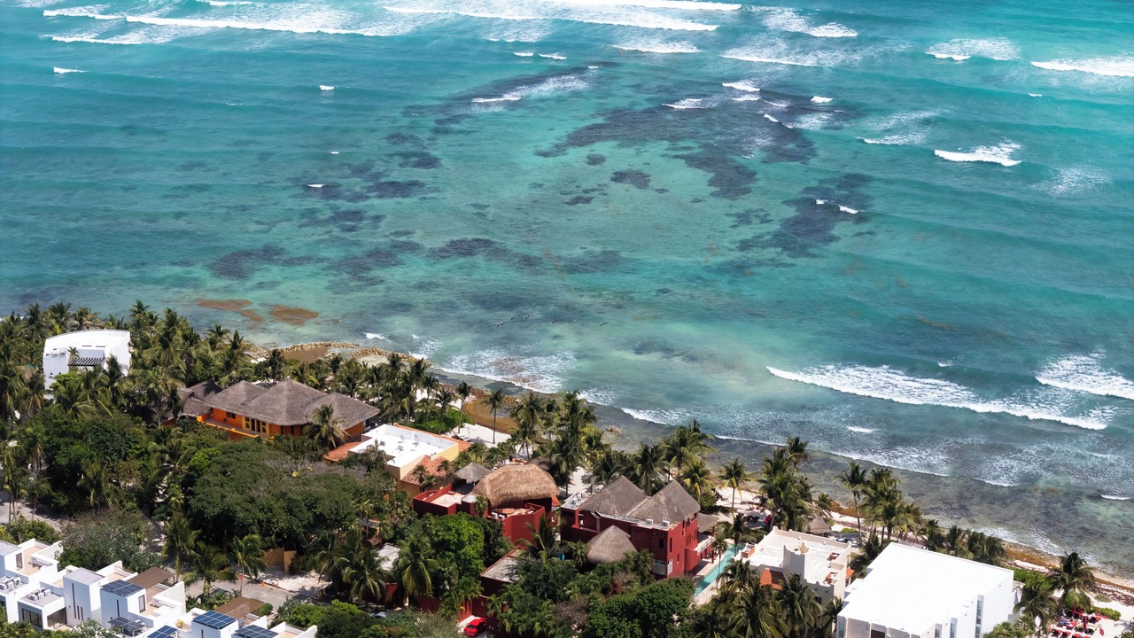 Photo of Outdoor in Akumal