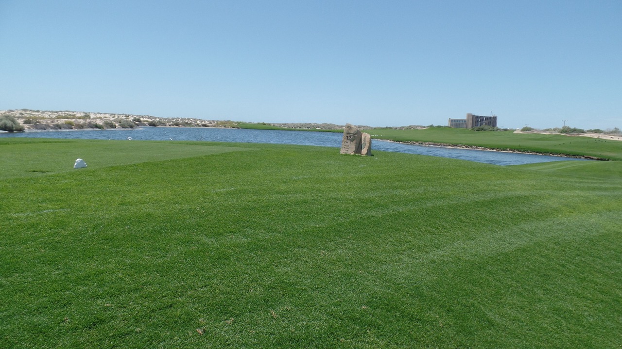 Photo of Others in Puerto Penasco