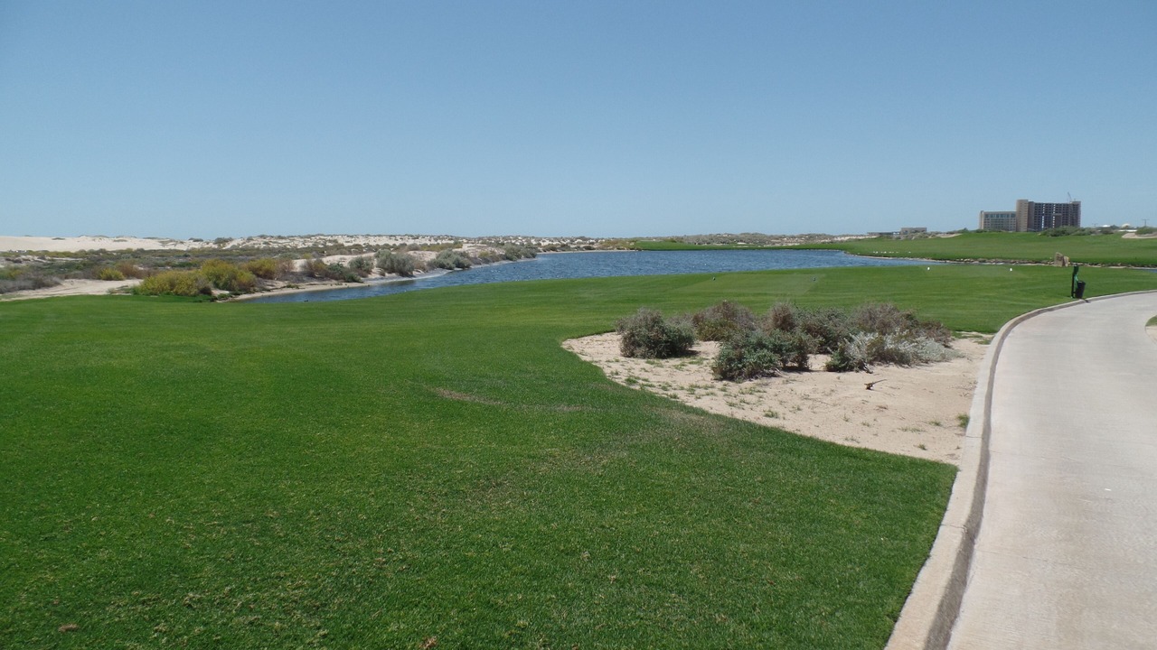 Photo of Others in Puerto Penasco