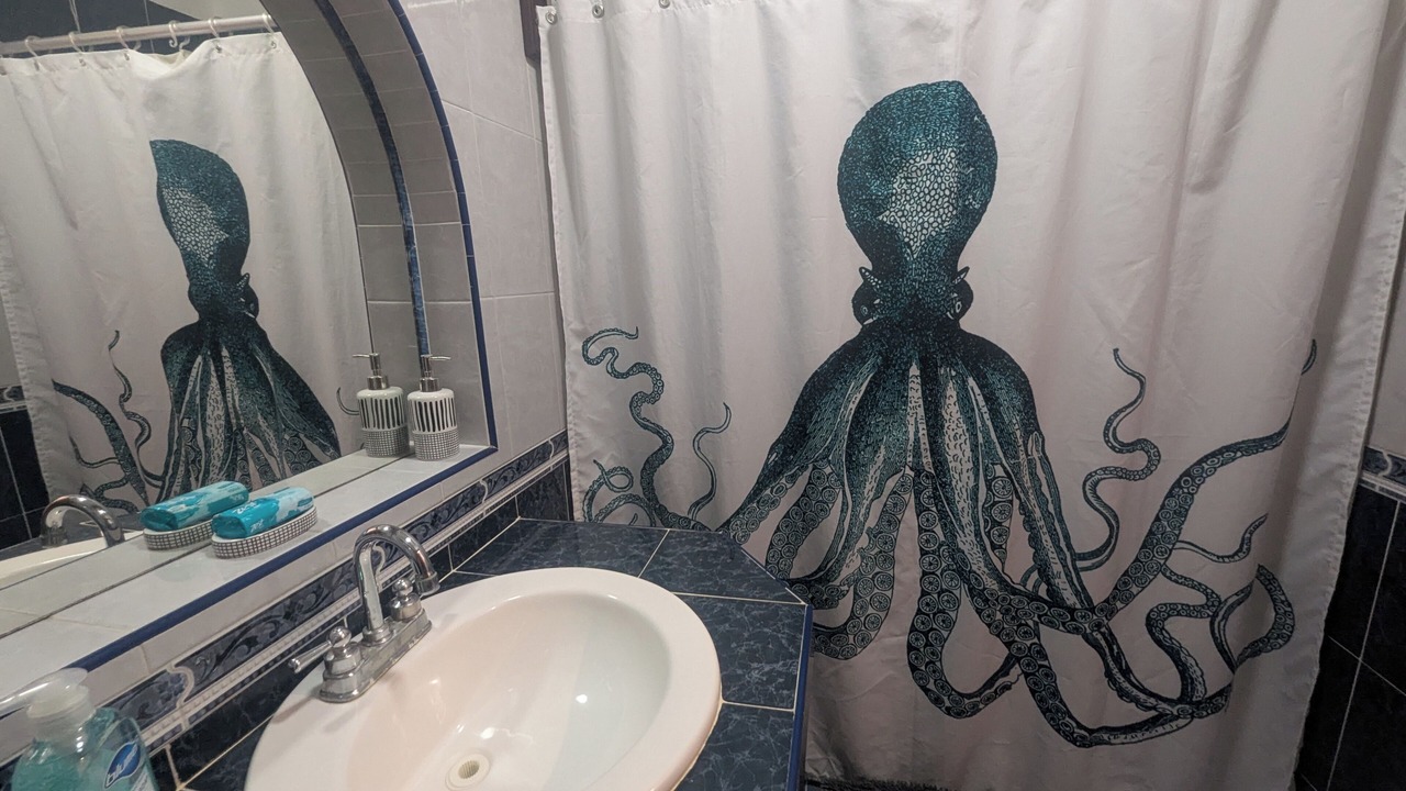Photo of Bathroom in Colonia Andres