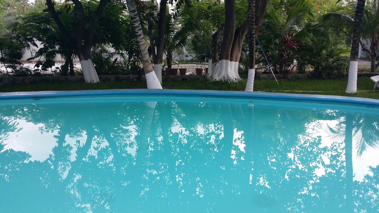 Photo of Outdoor in Alfredo V. Bonfil