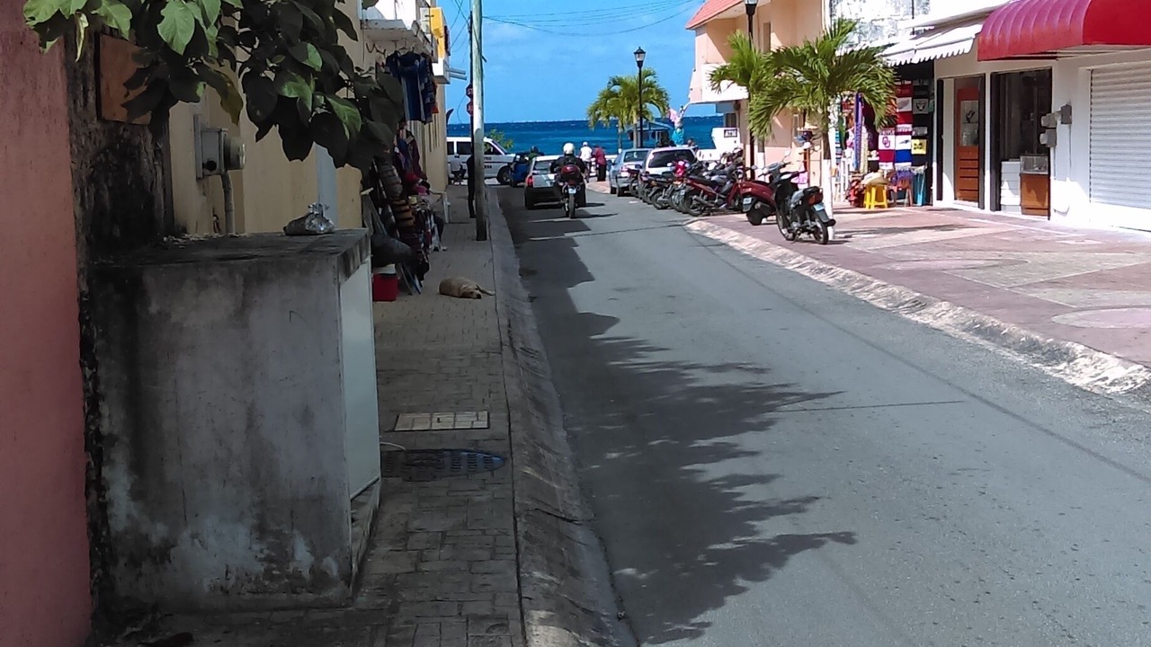 Photo of Outdoor in Cozumel