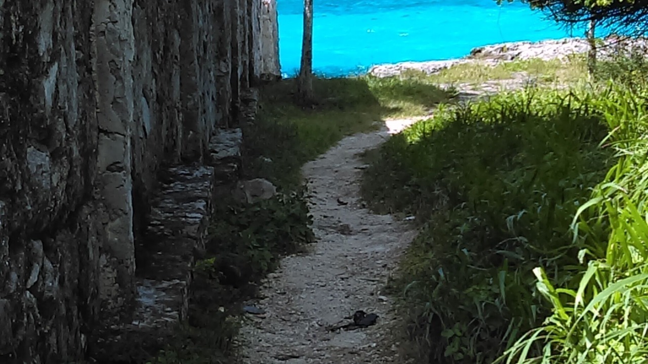 Photo of Outdoor in Cozumel
