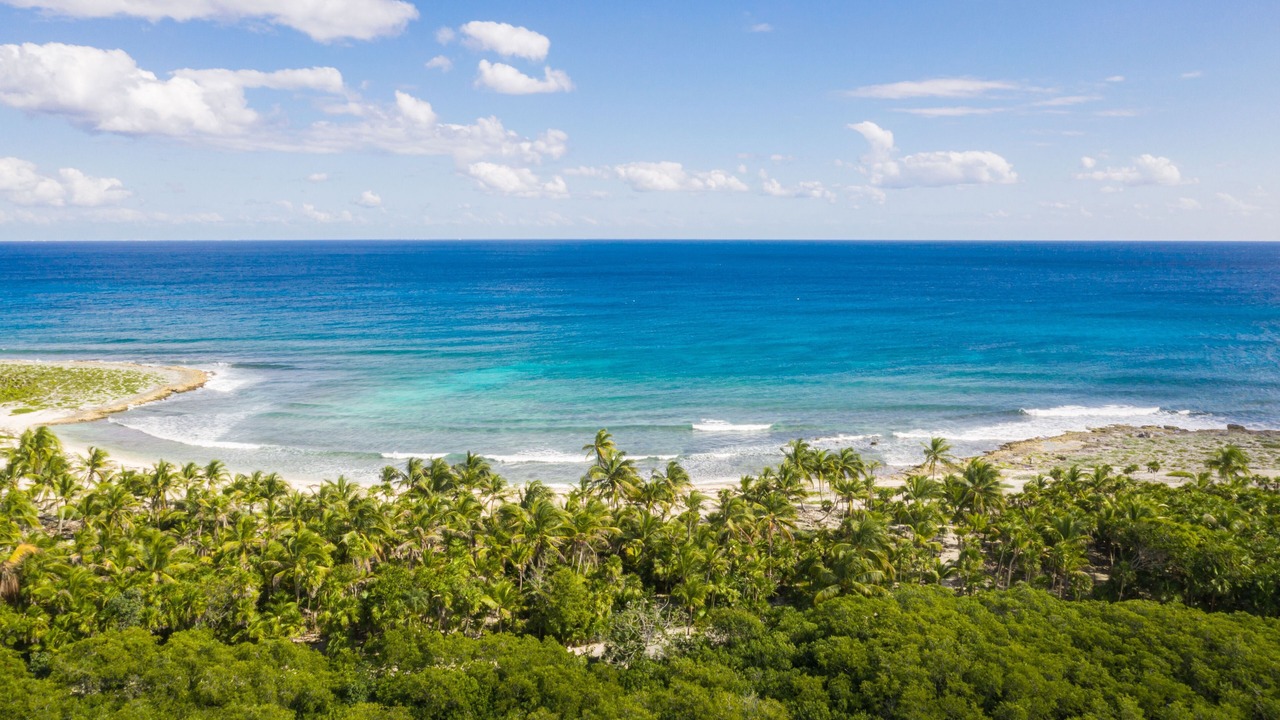 Photo of Others in Akumal