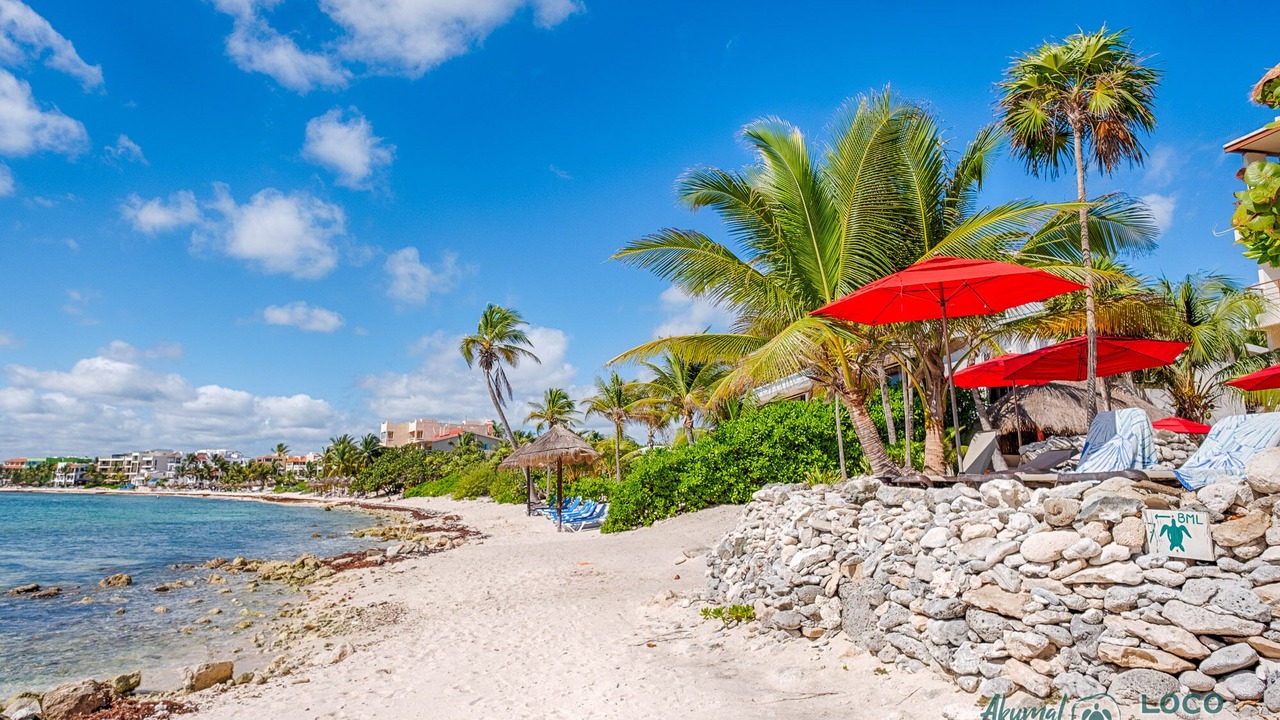 Photo of Others in Akumal