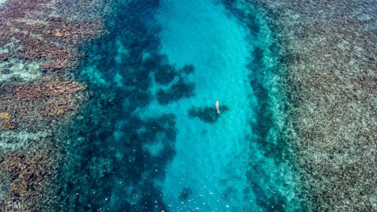 Photo of Outdoor in Xcalak