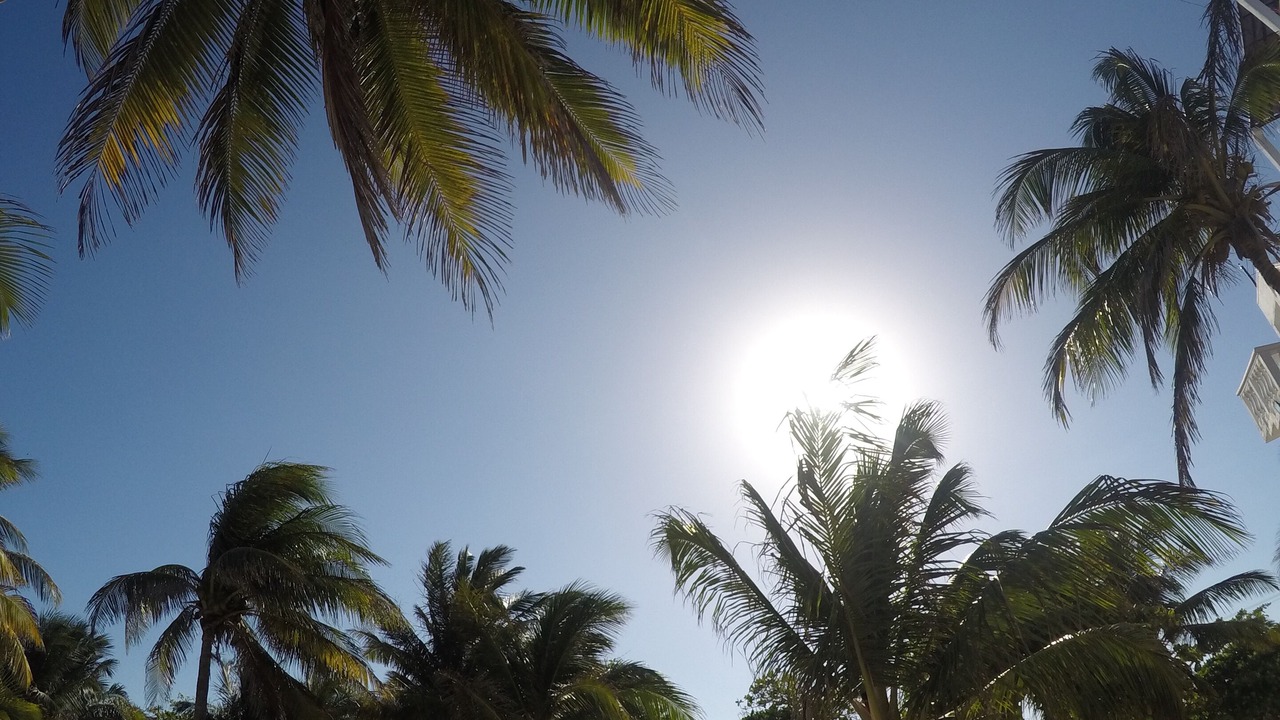 Photo of Outdoor in Xcalak