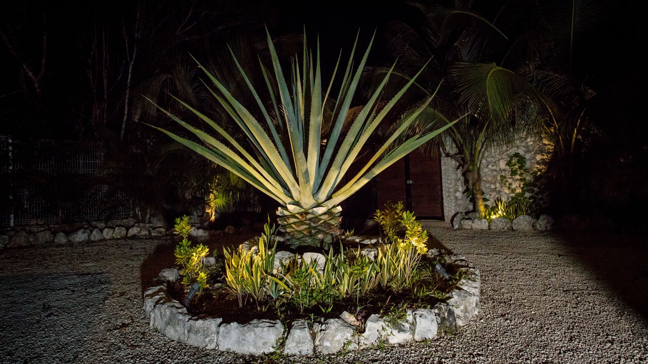 Photo of Outdoor in Tulum
