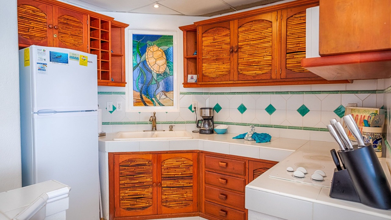 Photo of Kitchen in Akumal