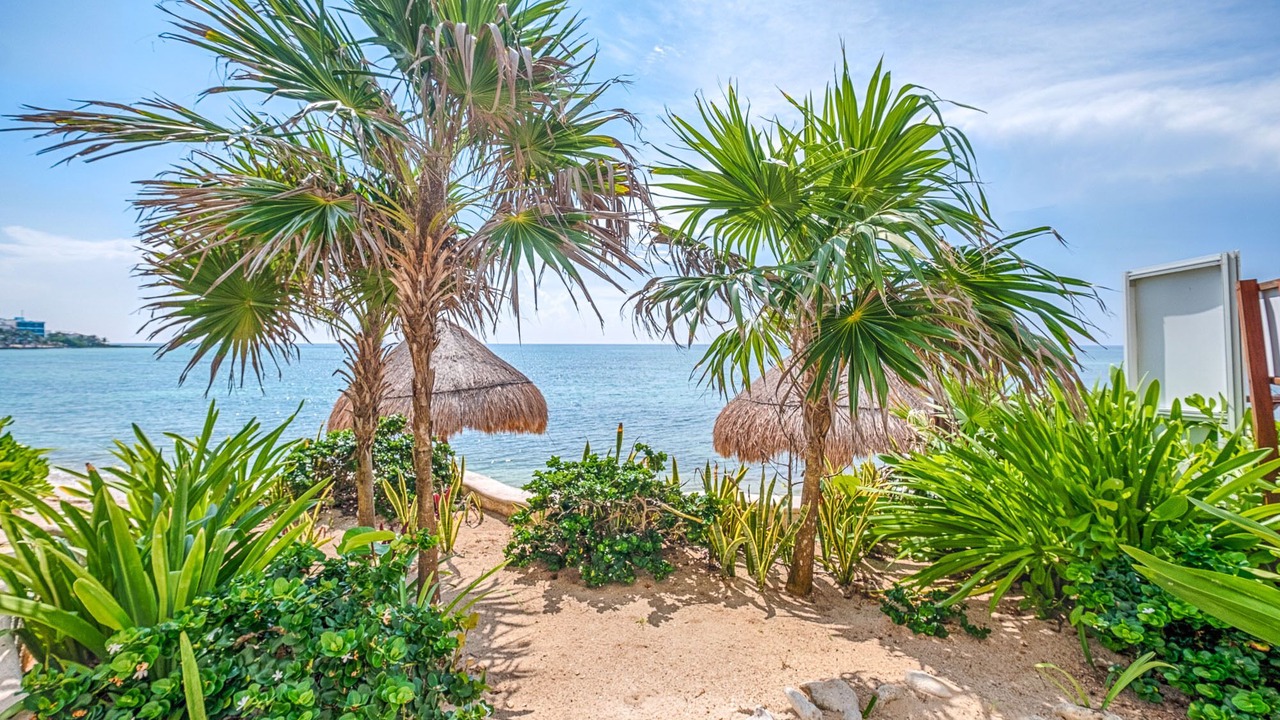 Photo of Outdoor in Akumal