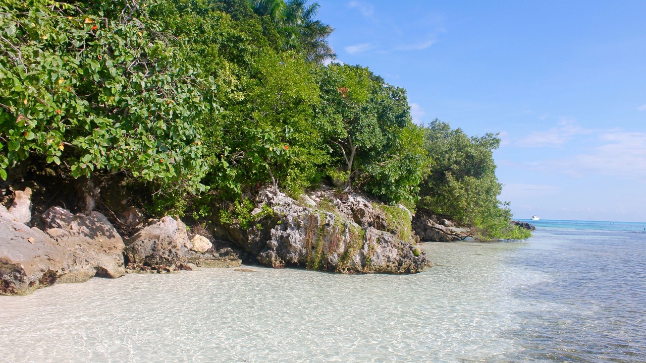 Photo of Others in Isla Mujeres