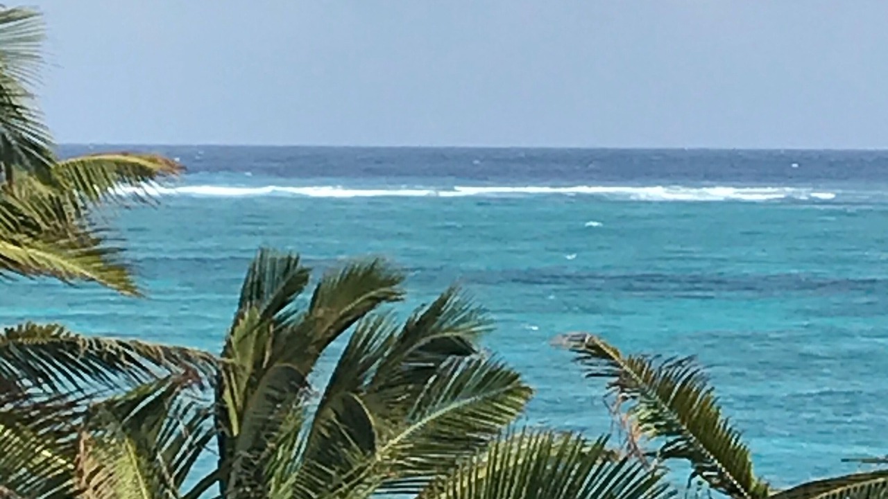 Photo of Others in Chacchoben