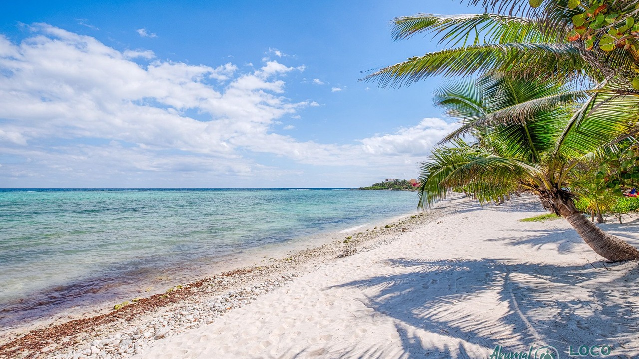 Photo of Others in Akumal