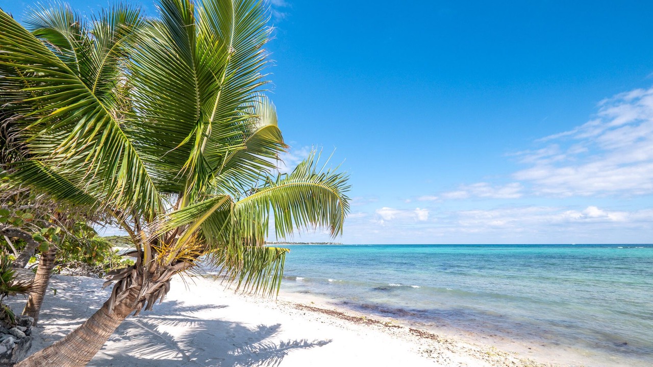 Photo of Others in Akumal