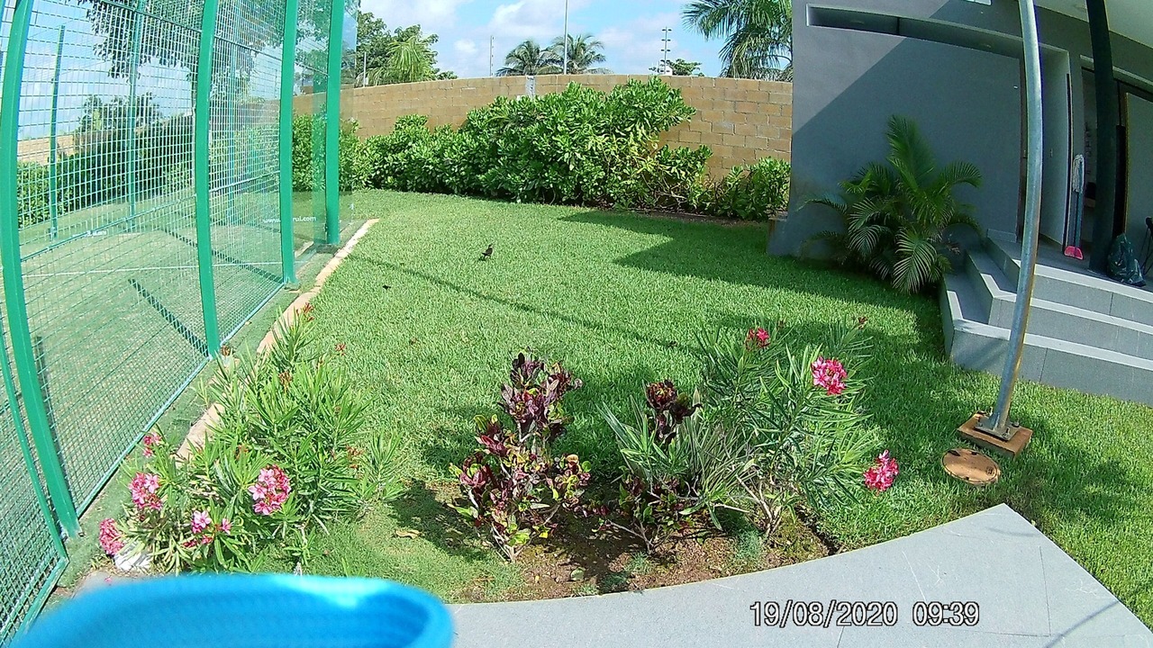 Photo of Outdoor in Puerto Juarez