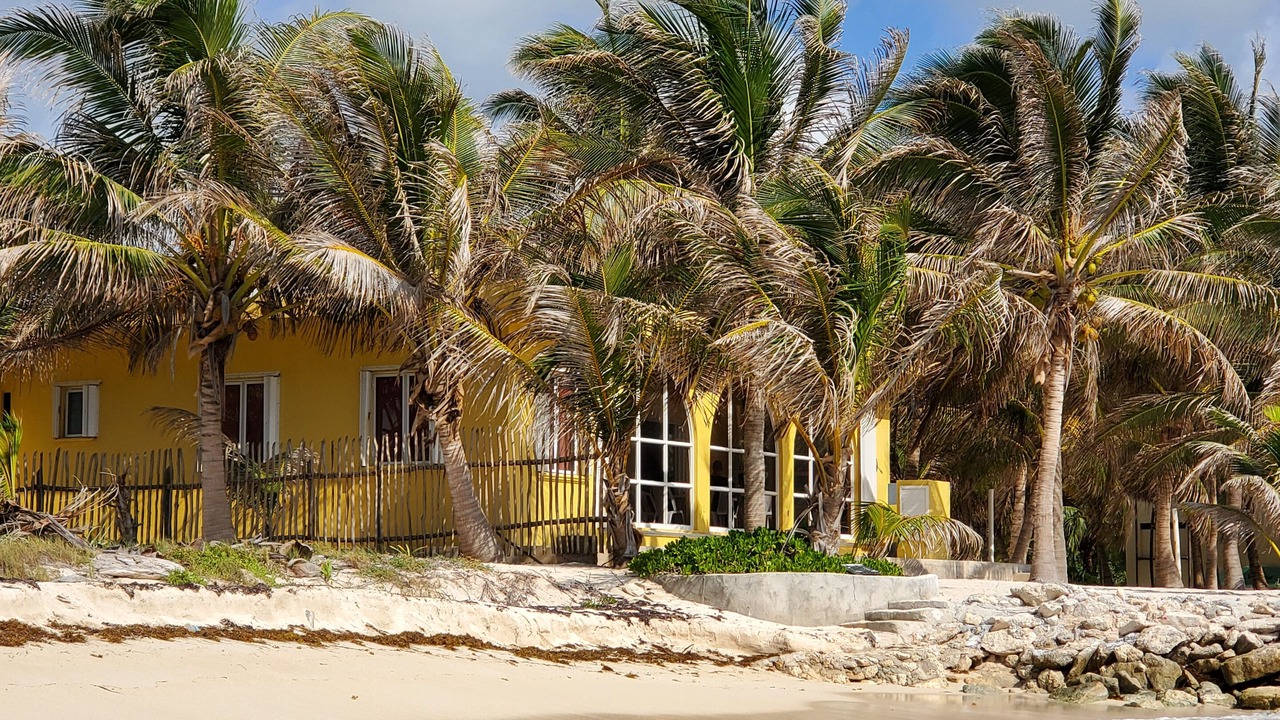 Photo of Others in Majahual