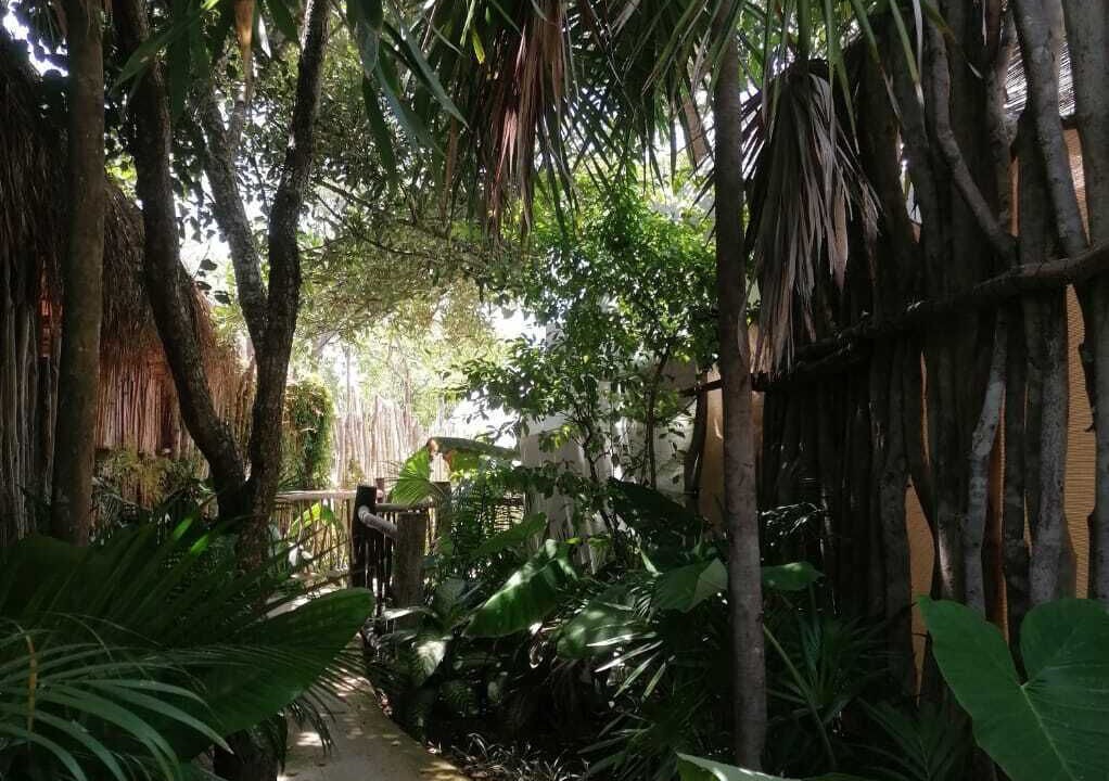 Photo of Outdoor in Zona Hotelera