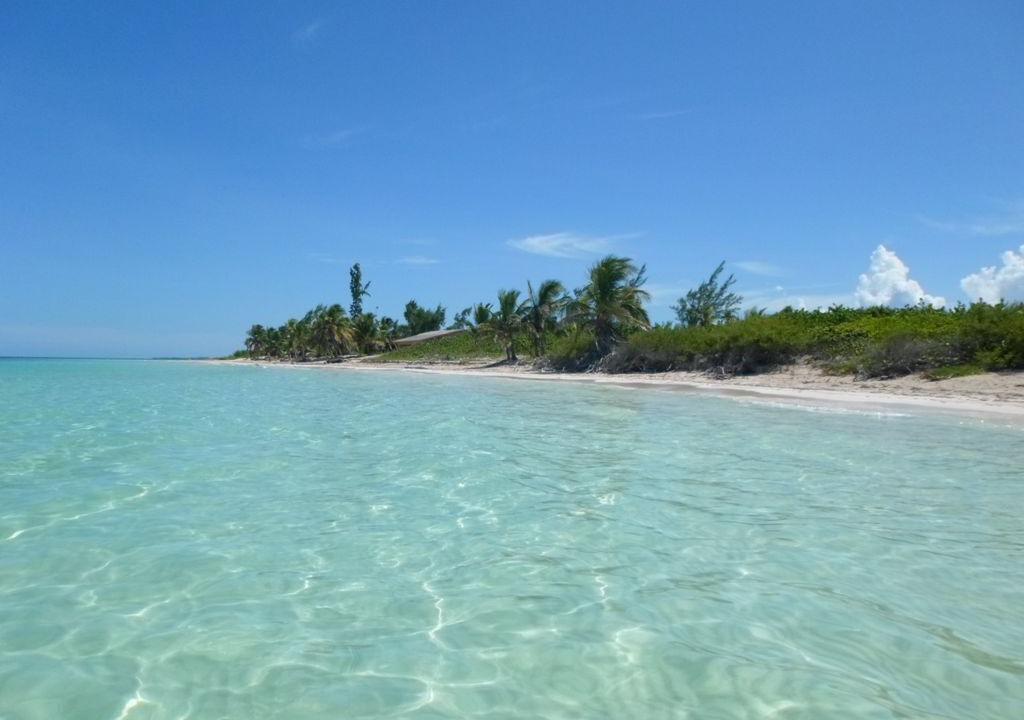 Photo of Others in Tulum