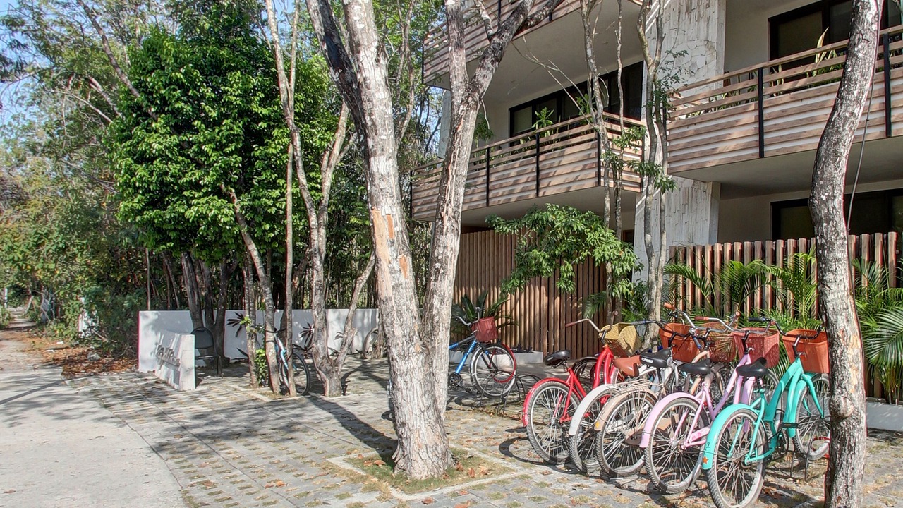 Photo of Outdoor in Zama