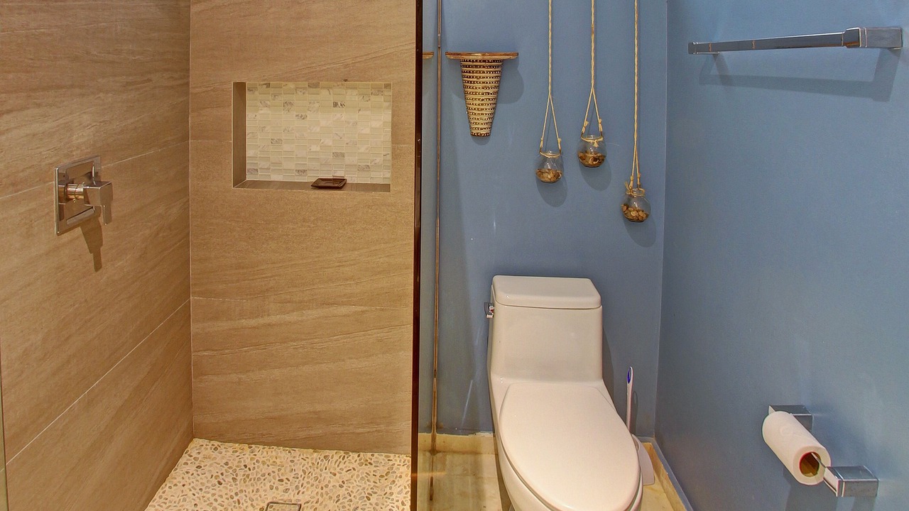 Photo of Bathroom in Zama