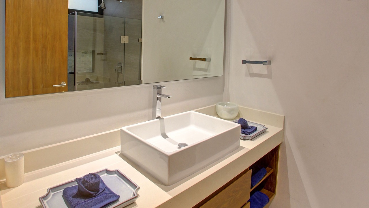 Photo of Bathroom in Zama