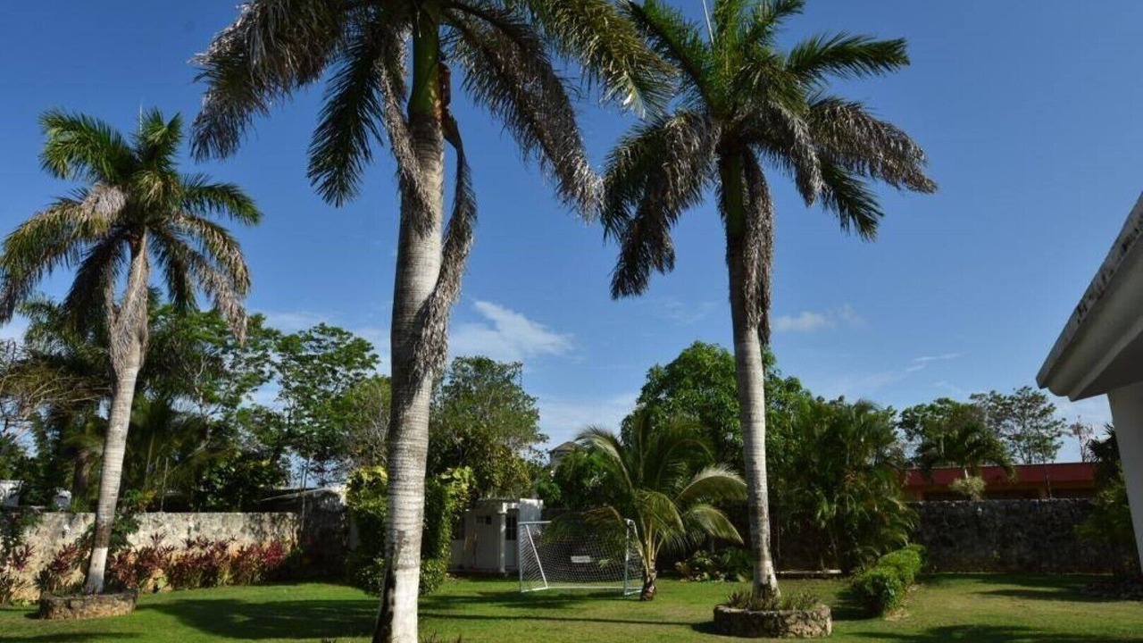 Photo of Outdoor in Alfredo V. Bonfil