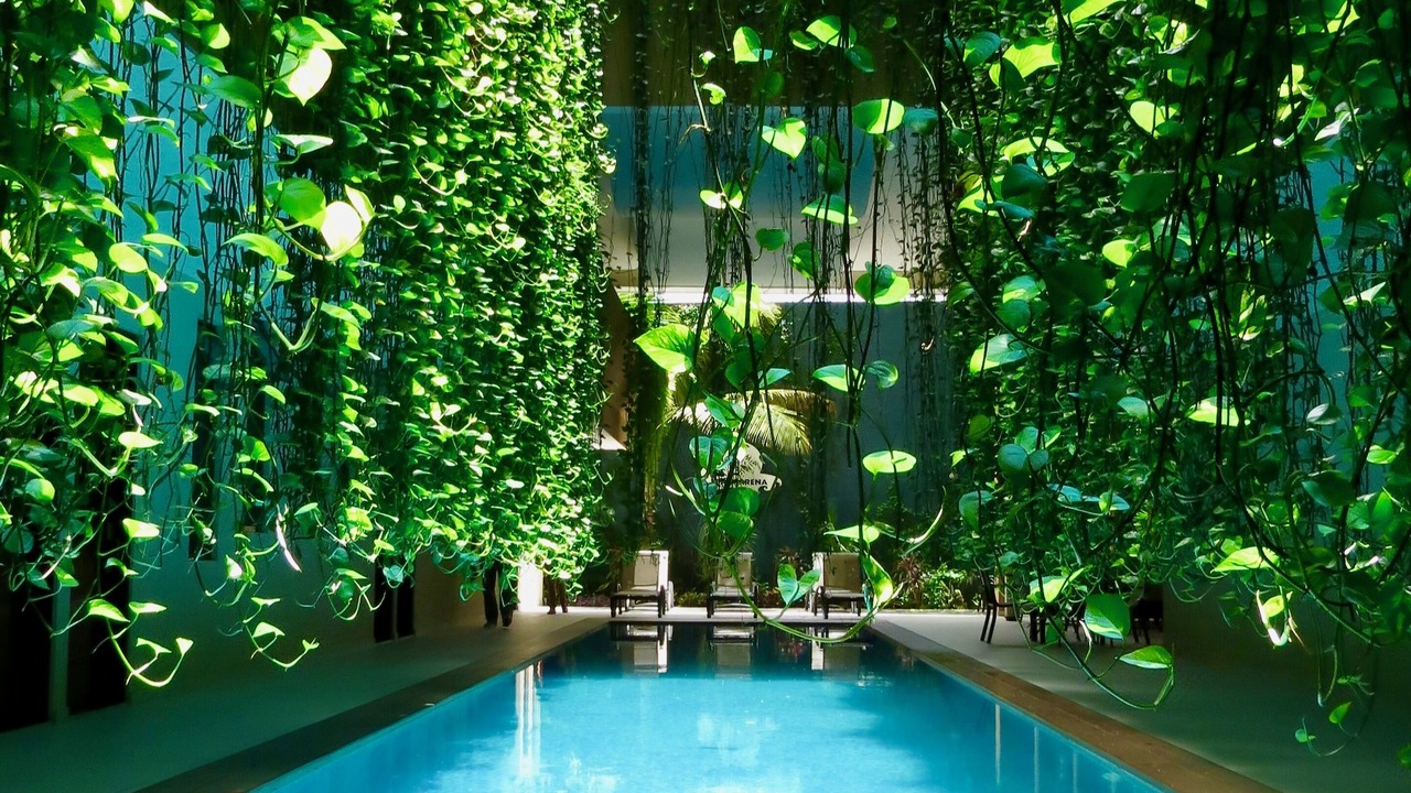 Photo of Outdoor in Centro