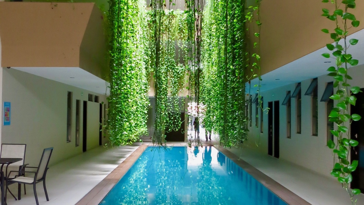 Photo of Outdoor in Centro