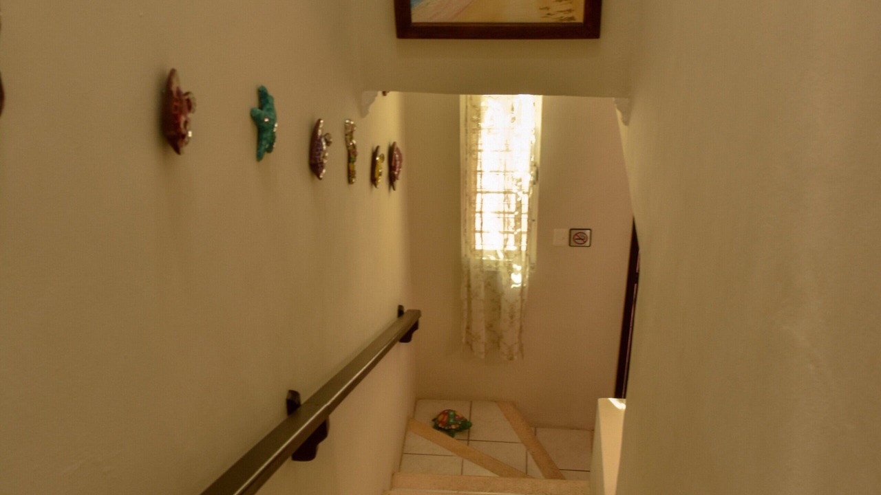 Photo of Others in Colonia Andres