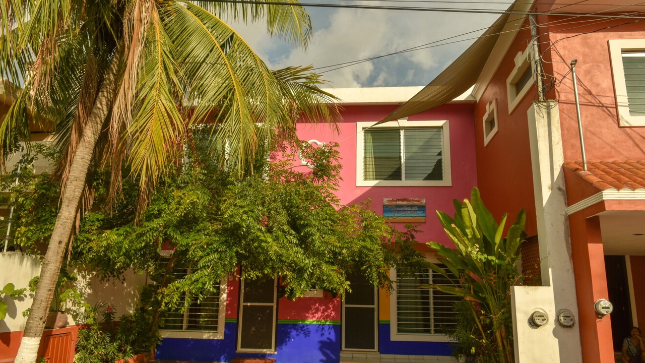 Photo of Outdoor in Colonia Andres