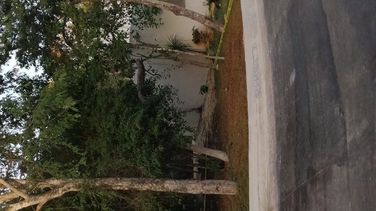 Photo of Outdoor in Puerto Morelos
