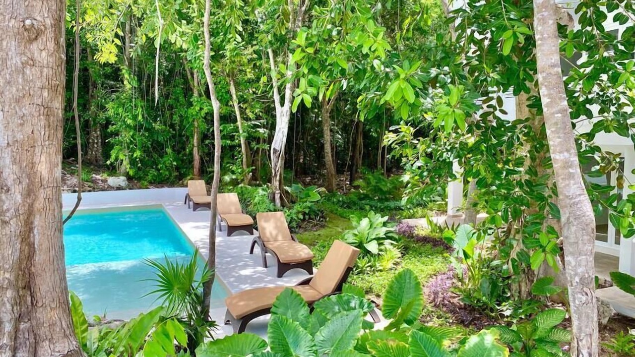 Photo of Outdoor in Akumal