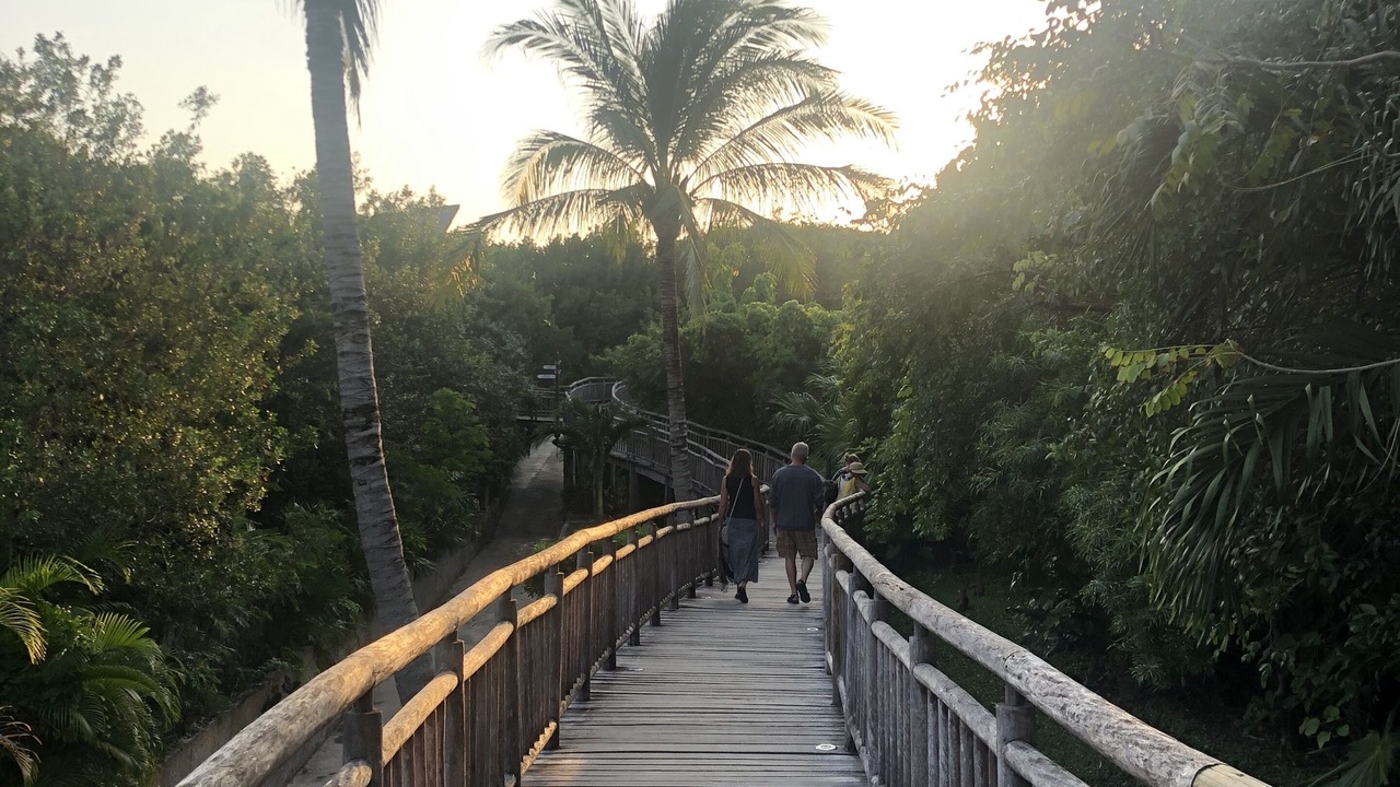 Photo of Outdoor in Villa Juarez