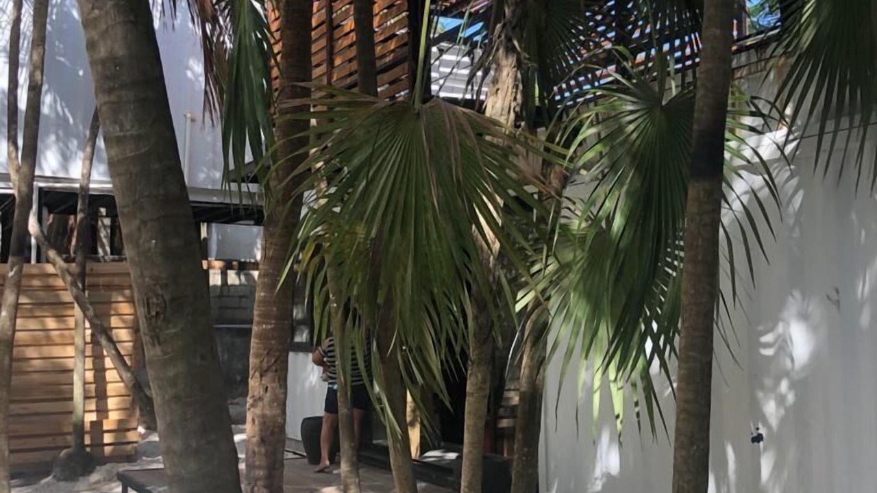 Photo of Outdoor in Zona Hotelera