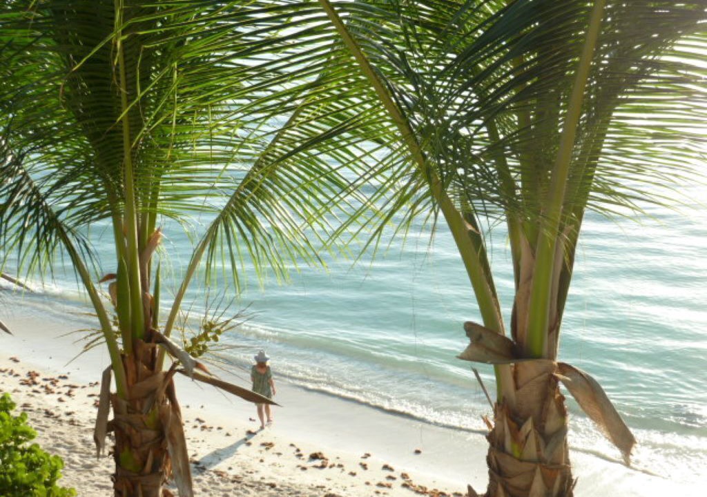 Photo of Others in Soliman Bay