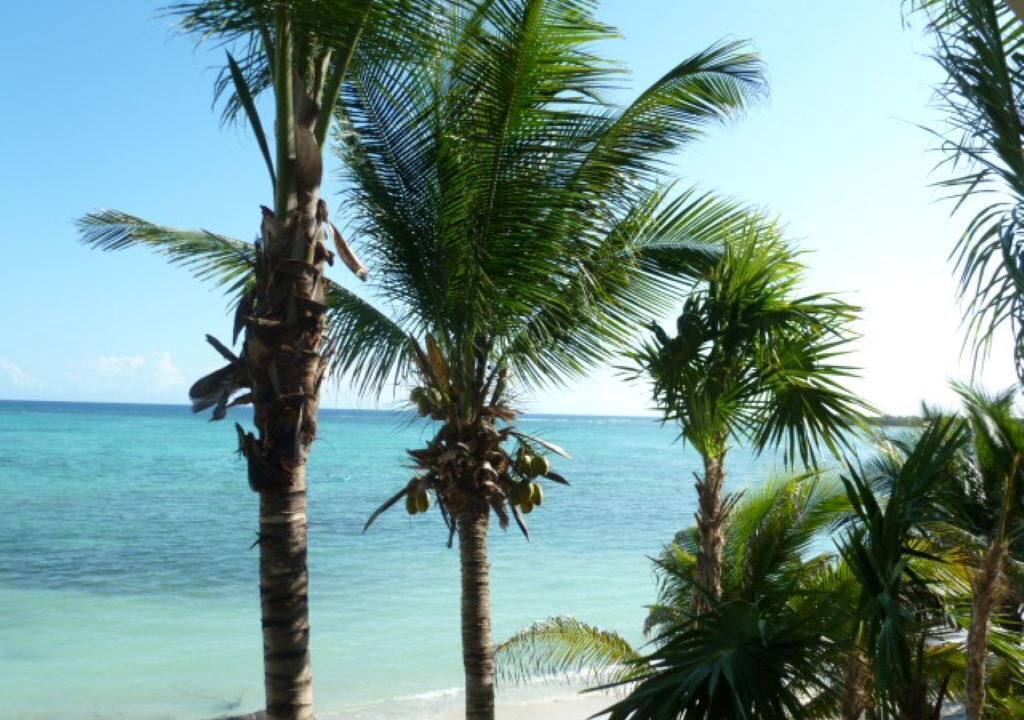 Photo of Others in Soliman Bay