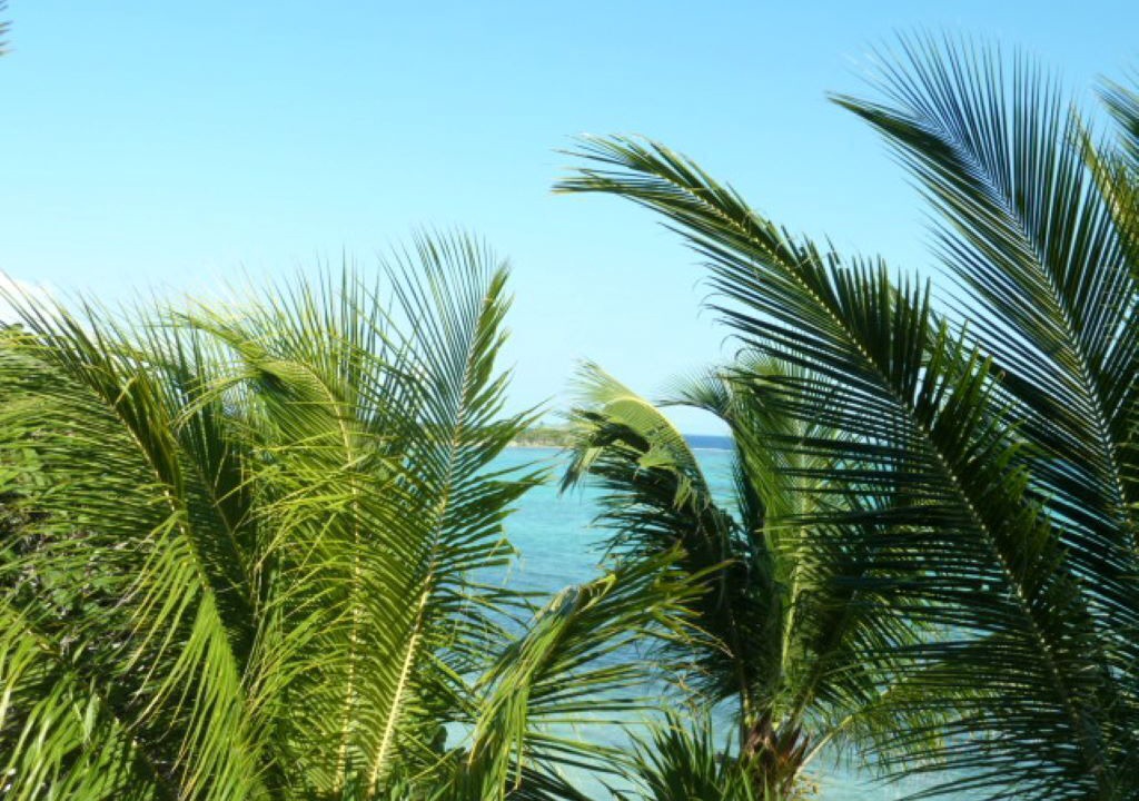 Photo of Outdoor in Soliman Bay