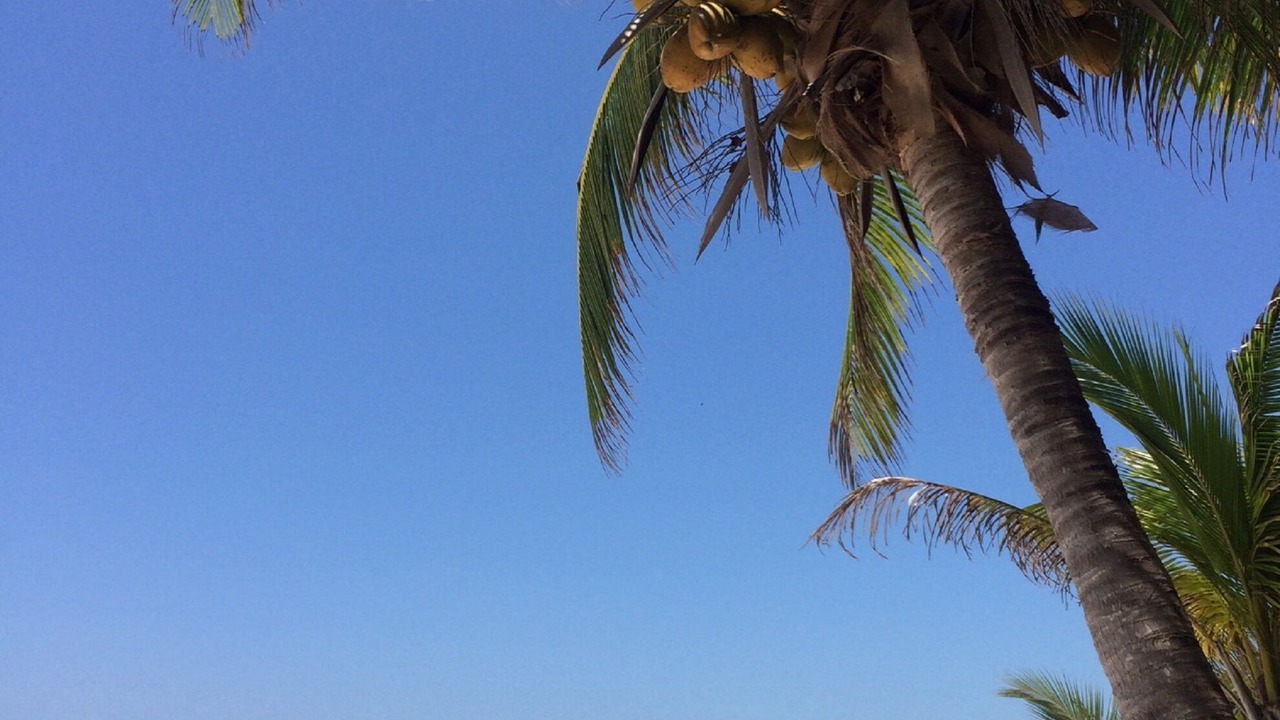 Photo of Others in Soliman Bay