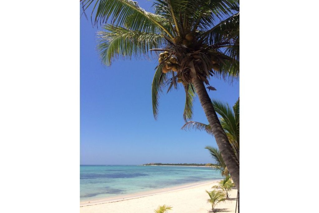 Photo of Others in Soliman Bay