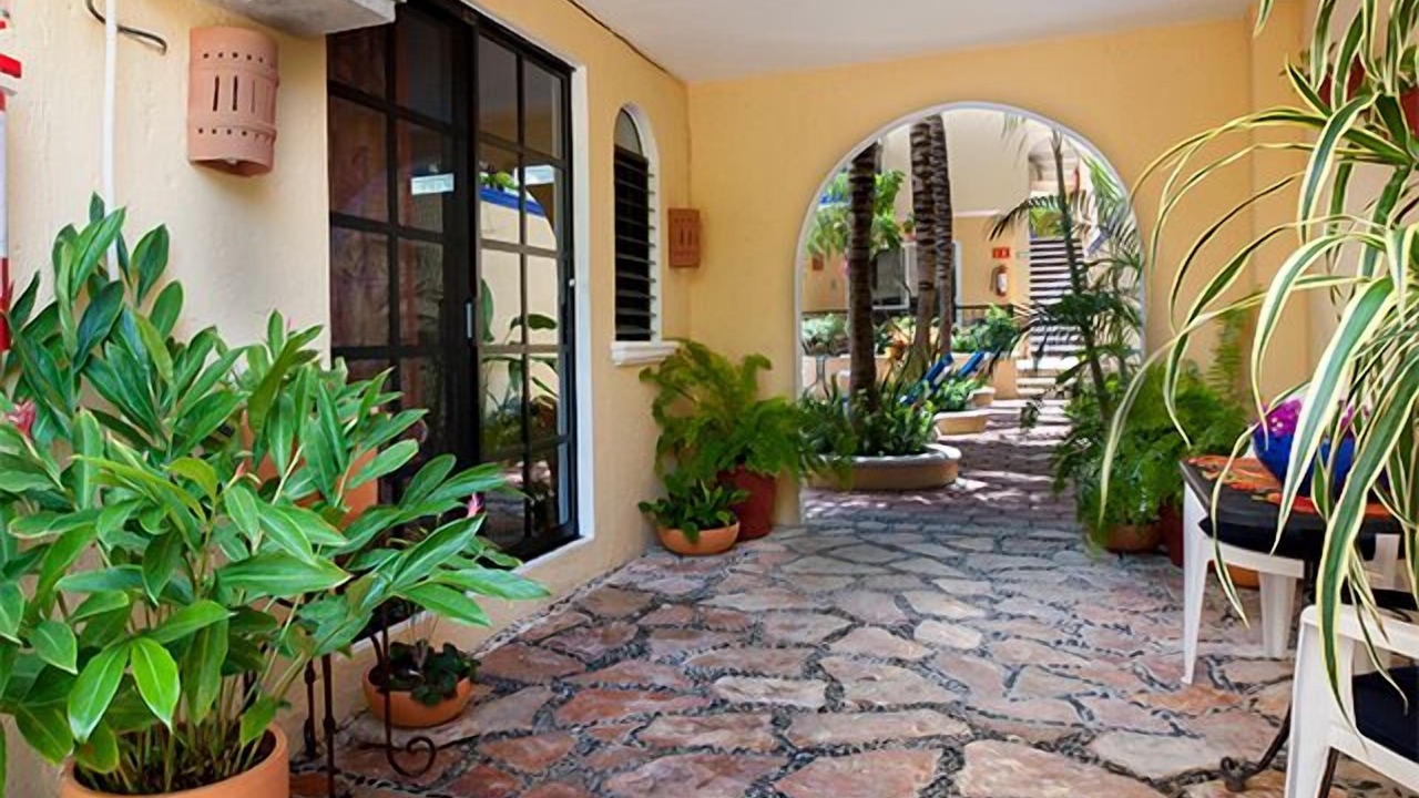 Photo of Others in Puerto Morelos