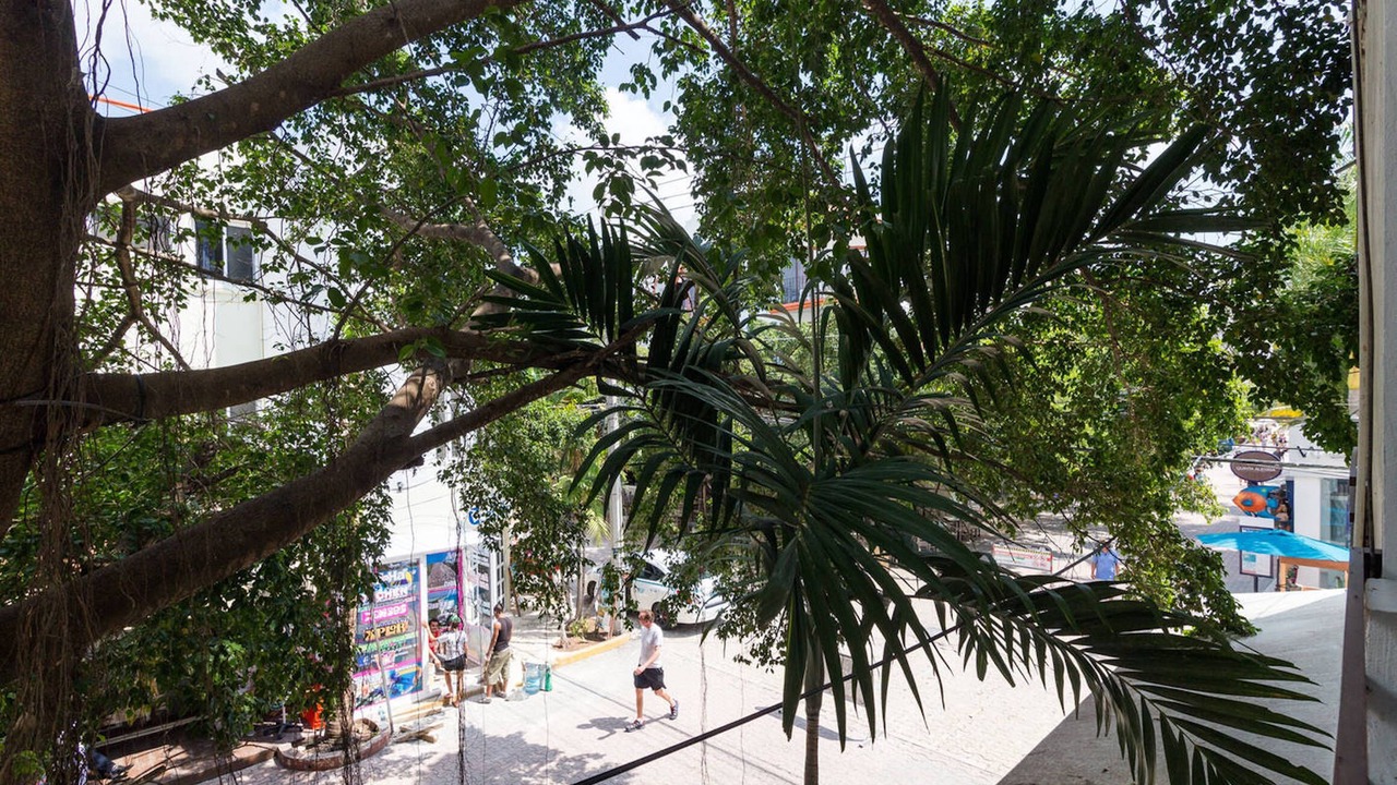Photo of Outdoor in Downtown