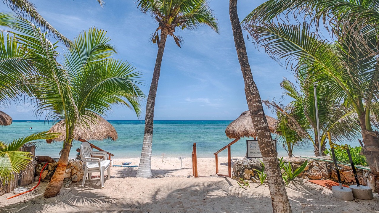 Photo of Others in Akumal